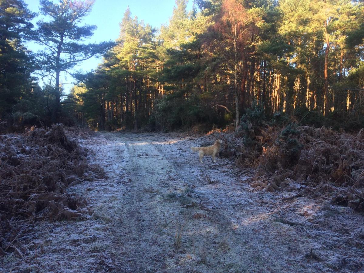 Clashmore Wood Dornoch Ngoại thất bức ảnh